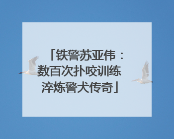 铁警苏亚伟：数百次扑咬训练淬炼警犬传奇