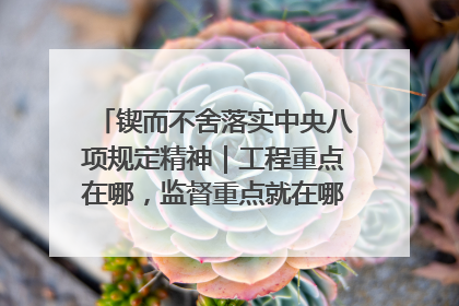 锲而不舍落实中央八项规定精神｜工程重点在哪，监督重点就在哪——广西深化政治监督护航平陆运河建设