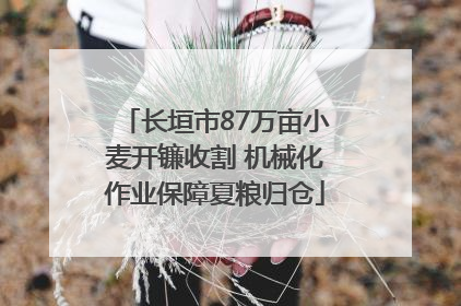 长垣市87万亩小麦开镰收割 机械化作业保障夏粮归仓