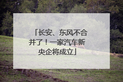 长安、东风不合并了！一家汽车新央企将成立