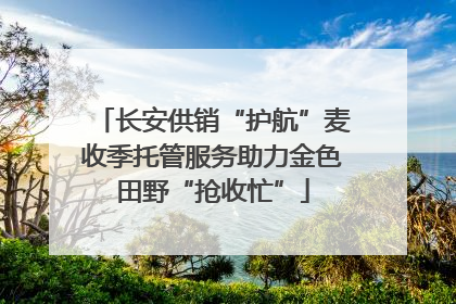 长安供销“护航”麦收季托管服务助力金色田野“抢收忙”