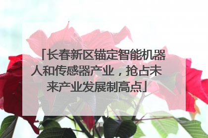 长春新区锚定智能机器人和传感器产业，抢占未来产业发展制高点