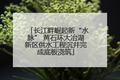 长江畔崛起新“水脉” 黄石环大冶湖新区供水工程沉井完成底板浇筑