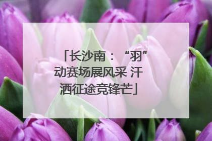 长沙南：“羽”动赛场展风采 汗洒征途竞锋芒