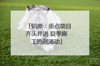 镇原：重点项目齐头并进 夏季施工热潮涌动