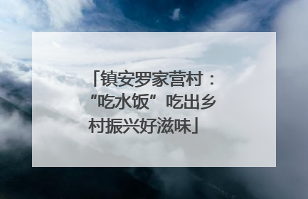 镇安罗家营村：“吃水饭”吃出乡村振兴好滋味