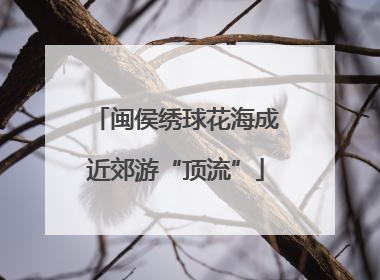 闽侯绣球花海成近郊游“顶流”