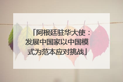 阿根廷驻华大使：发展中国家以中国模式为范本应对挑战