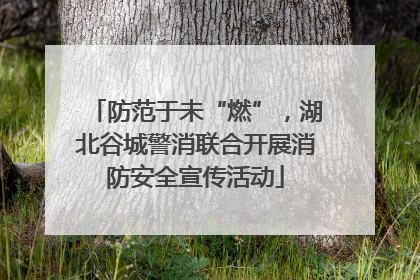 防范于未“燃”，湖北谷城警消联合开展消防安全宣传活动