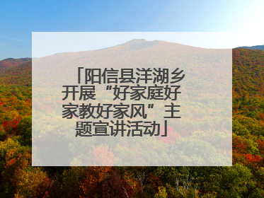阳信县洋湖乡开展“好家庭好家教好家风”主题宣讲活动