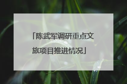 陈武军调研重点文旅项目推进情况
