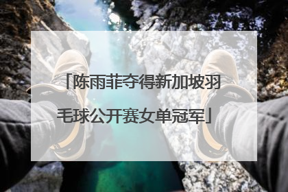 陈雨菲夺得新加坡羽毛球公开赛女单冠军