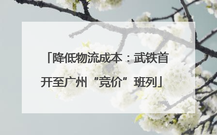降低物流成本：武铁首开至广州“竞价”班列