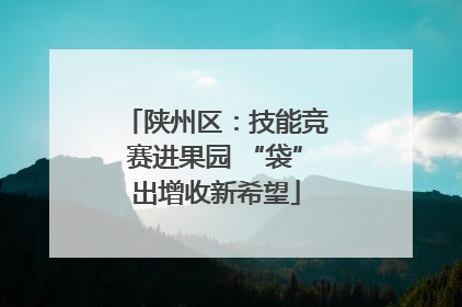 陕州区：技能竞赛进果园 “袋”出增收新希望