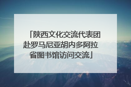 陕西文化交流代表团赴罗马尼亚胡内多阿拉省图书馆访问交流