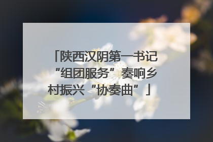 陕西汉阴第一书记“组团服务”奏响乡村振兴“协奏曲”
