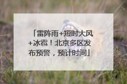 雷阵雨+短时大风+冰雹！北京多区发布预警，预计时间