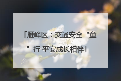 雁峰区：交通安全“童”行 平安成长相伴
