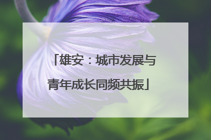 雄安：城市发展与青年成长同频共振