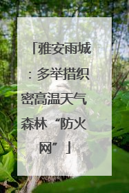雅安雨城：多举措织密高温天气森林“防火网”