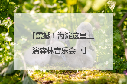 震撼！海淀这里上演森林音乐会→