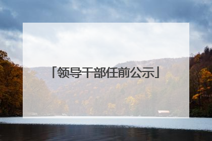 领导干部任前公示
