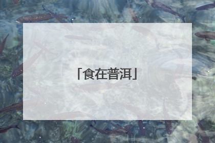 食在普洱