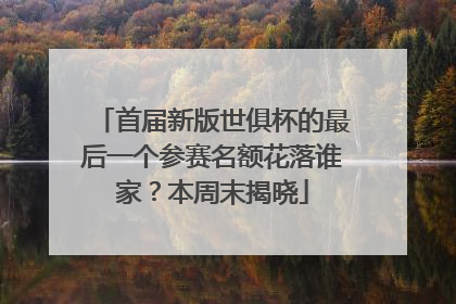 首届新版世俱杯的最后一个参赛名额花落谁家？本周末揭晓
