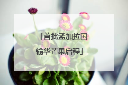 首批孟加拉国输华芒果启程