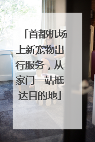 首都机场上新宠物出行服务，从家门一站抵达目的地