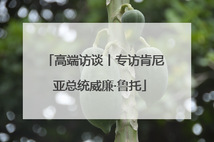 高端访谈丨专访肯尼亚总统威廉·鲁托