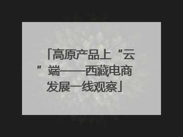 高原产品上“云”端——西藏电商发展一线观察