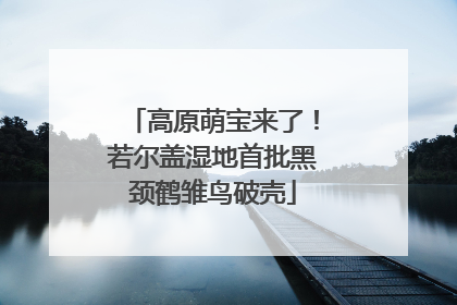 高原萌宝来了！若尔盖湿地首批黑颈鹤雏鸟破壳
