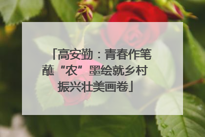 高安勤：青春作笔蘸“农”墨绘就乡村振兴壮美画卷