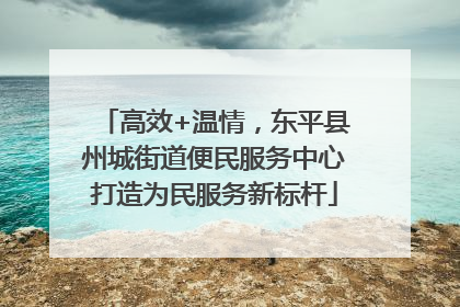 高效+温情，东平县州城街道便民服务中心打造为民服务新标杆
