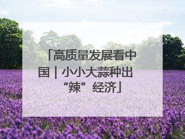 高质量发展看中国｜小小大蒜种出“辣”经济