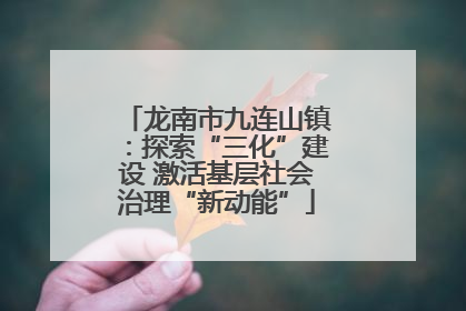 龙南市九连山镇：探索“三化”建设 激活基层社会治理“新动能”