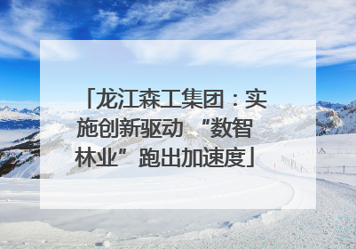 龙江森工集团：实施创新驱动 “数智林业”跑出加速度