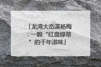 龙湾大岙溪杨梅：一颗“红盘绿蒂”的千年滋味