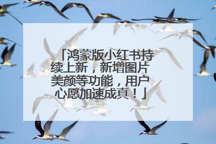 鸿蒙版小红书持续上新，新增图片美颜等功能，用户心愿加速成真！