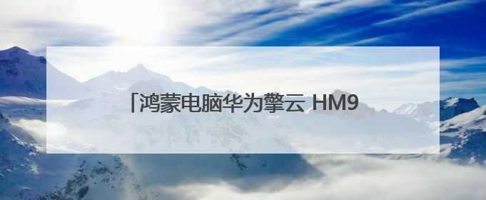 鸿蒙电脑华为擎云 HM940成为2025天津夏季达沃斯中方办公支持电脑