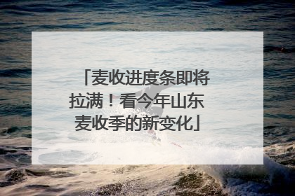 麦收进度条即将拉满！看今年山东麦收季的新变化