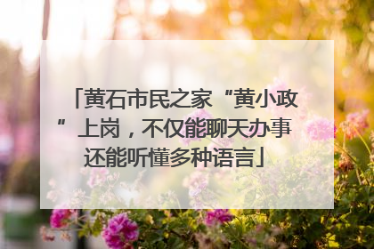 黄石市民之家“黄小政”上岗，不仅能聊天办事还能听懂多种语言