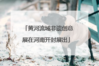 黄河流域非遗创意展在河南开封展出