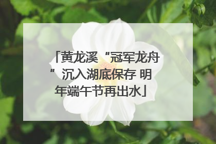 黄龙溪“冠军龙舟”沉入湖底保存 明年端午节再出水
