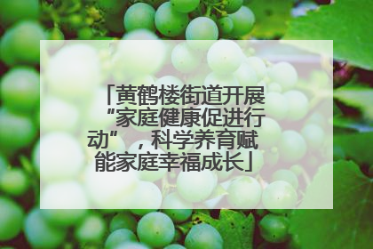 黄鹤楼街道开展“家庭健康促进行动”，科学养育赋能家庭幸福成长