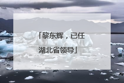 黎东辉，已任湖北省领导