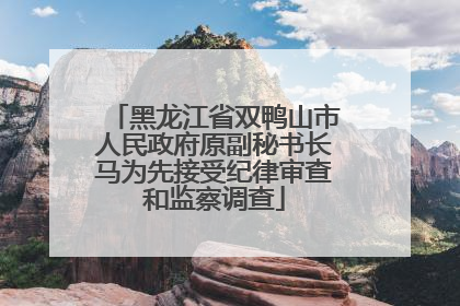 黑龙江省双鸭山市人民政府原副秘书长马为先接受纪律审查和监察调查