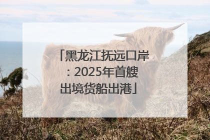 黑龙江抚远口岸：2025年首艘出境货船出港
