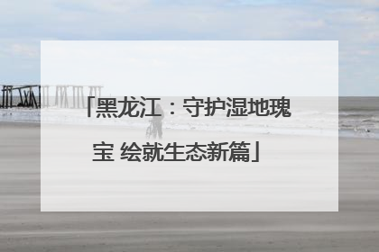 黑龙江：守护湿地瑰宝 绘就生态新篇